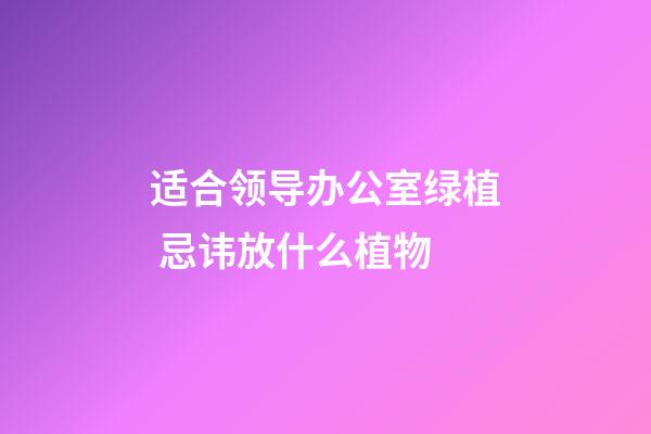 适合领导办公室绿植 忌讳放什么植物